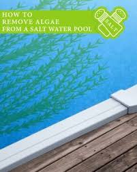 What type of salt is best? 27 Saltwater Pool Ideas Saltwater Pool Pool Swimming Pools