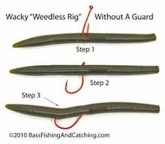 Wacky Worm Fishing Has No Limits For Fishing Plastic Worms Fishing Tips Plastic Worms Fishing Techniques