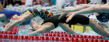 Tweet terkini daripada smit sport (@smitsport38). Opera Swim Sv Bayer De