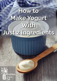 How To Make Yogurt At Home Without Special Equipment Homemade Yoghurt Recipes Homemade Yogurt Recipes Organic Yogurt