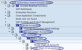 chart of accounts sapspot