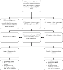 patient flow chart