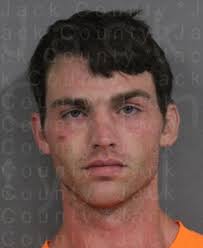 FREEZE, MICHAEL MASON BURGLARY OF VEHICLES $5000 BURGLARY OF VEHICLES $5000  BURGLARY OF VEHICLES $5000 THEFT PROP >=$750<$2,500