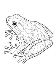 Poison Dart Frog In 2020 Frog Coloring Pages Coloring Pages Frog Art