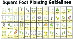 4x8 Raised Bed Vegetable Garden Layout Raised Bed Getable Garden Layout 4 8 Raised Vegetable Garden Planner Garden Layout Vegetable Square Foot Gardening Plans