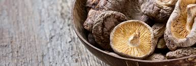 Image result for Lentinus edodes