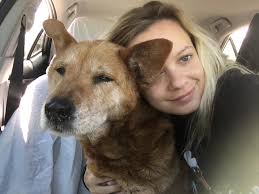 Kiera Dawson is this your dog??