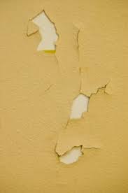 Banish blemishes and zap away acne with our carrot collection. Interior Peeling Paint Identifying The 10 Most Common Causes