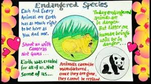 Endangered Animals Poster Poster Making Ideas How To Make Poster On Endangered Species Youtube