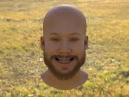 Using High-Fidelity Avatars to Advance Camera-based Cardiac Pulse  Measurement