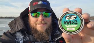 Perch caught in Indian Lake Manistique, MI