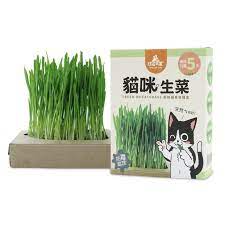 請依照說明照顧 水量千萬注意不能蓋過種子 泡爛就不能發芽了 部分商品包裝紙套會有些許水痕凹凸不平 不影響內容物 不介意再請購買喔 長超快 5天收成 超好種 99 發芽率 超放心 天然酵母菌防黴技術 跟發霉說再見提供貓咪 貓草 cat g in 2020 wheat