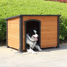 Because of this, there are a lot of theories about how they were developed. Outdoor Solid Wooden Dog House Waterproof Cage Kennel Large Dog Golden Retriever Dog House Samoyed K Shopee Philippines