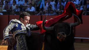 Ingresado el torero Antonio Ferrera tras precipitarse por un puente en  Badajoz