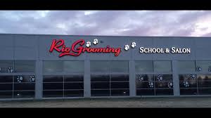 Has plenty of resources and tools for professionals and those aspiring to work in the industry, including groomers. Home Rio Grooming