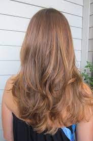 Light Warm Golden Brown Light Hair Color Carmel Hair Color Honey Brown Hair