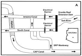 Electrical Fish Barriers Gila River Basin Native Fishes