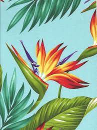 Tropical Hawaiian Bird Of Paradise Flowers And Leafy Palm Fronds Cotton Poplin Apparel Fabric More Fabrics Estampas Tropicais Cores Tropicais Flores Tropicais