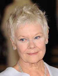 35 Lovely Hairstyles For Women Over 70 Older Women Hairstyles Womens Hairstyles Short Hair Styles