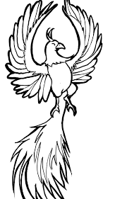 We did not find results for: Orasnap Cool Phoenix Drawing Easy