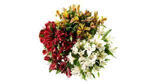 Flower delivery — atlanta, found: Floral