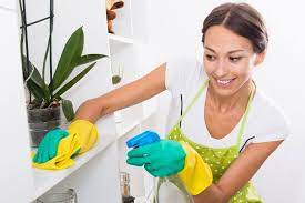 10 Efficient Home Cleaning Tips You Will Love | House Cleaning - West  Chester, PA | Busy Bee Cleaning Company