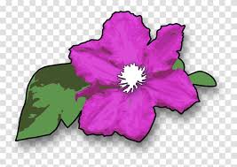 Flowers clipart black and white. Flower Purple Violet Green Leaves Plant Floral Jungle Flowers Clipart Hibiscus Blossom Petal Anther Transparent Png Pngset Com