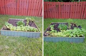 Maybe you would like to learn more about one of these? Reviews Gardener S Choice