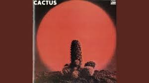 Blam it on the boogie guitar dance mix. Cactus Chords Chordify