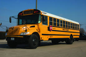 Image result for Bussea