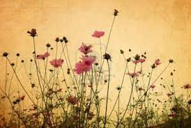 Vintage Flower Paper Background Vintage Desktop Wallpapers Vintage Flowers Flower Desktop Wallpaper