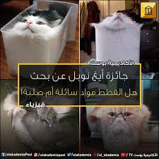 فيزيائي يفوز بجائزة نوبل عن دراسة حول ما إذا كان يجب تصنيف القطط على أنها سوائل أو مواد صلبة فاز عالم فيزياء فرنسي بجائزة أيغ نوبل Ig Nobel عن Lockscreen Tv