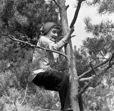 astrid lindgren liebte das klettern so auch 1974 als sie zum 80 geburtstag ihrer freundin elsa astrid lindgren pippi longstocking children s book characters