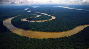 Not only do millions of species of plants and animals live in rainforests, but people also call the rainforest their home. 15 Incredible Facts About Amazon Rainforest The Lungs Of The Planet Which Provide 20 Of Our Oxygen Education Today News