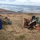 North Berwick: Family Friendly Beach Clean event image