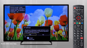 Panasonic Viera Television How To Perform A Tv Self Test Youtube
