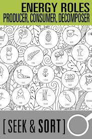 Many kinds of decomposers are microscopic, meaning that they can't. Producer Consumer Decomposer Seek And Sort Science Doodle Activity Science Card Sort Video Science Doodles Sorting Cards Decomposers Activity