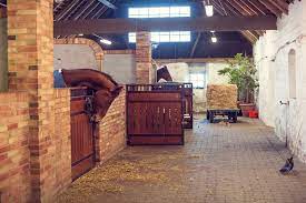 Team h&ms malin baryard and peder fredricson, both olympic medalists in showjumping, will give. Lisen Fredricson The Equestrian Entrepreneur Equilife World