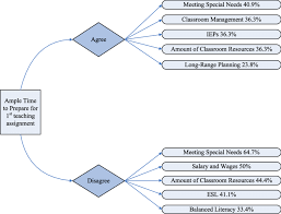 Flow Chart Analysis Of Main Challenges Faced By New Teachers