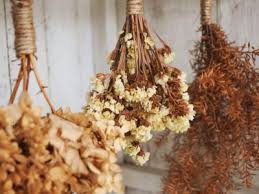 After they're dry, you'll have beautifully preserved flowers for months to come. Dried Flower Arrangements Growing Plants And Flowers To Dry