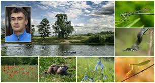 We did not find results for: LecÈ›ia De NaturÄƒ A SÄƒptÄƒmanii Secretele Din Parcul Natural Lunca MureÈ™ului AstÄƒzi Totul Despre Castor Aradon