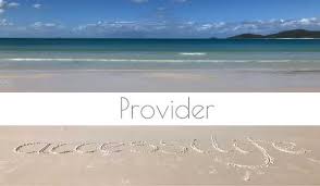 Other markets include transport authorities, utilities, healthcare providers and statutory authorities. Health Vision Services Pty Ltd Accessilife