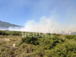 Συνεχίζεται η προσπάθεια απομάκρυνσης των αλόγων που βρέθηκαν σε κίνδυνο από τη φωτιά στη βαρυμπόμπη, ενώ παράλληλα γίνεται και. Eftase Se Spitia H Fwtia Se 8rakomakedones Megara Kai Wrwpo