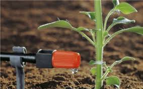 Maybe you would like to learn more about one of these? Arrosage Systeme D Arrosage Automatique Pour Jardin Et Potager