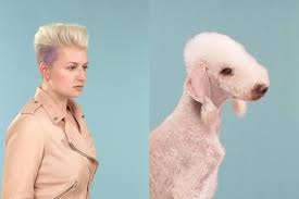 Just take a look at this fun series of dogs that look like their owners created by british this time gethings brought the best appearance traits of both people and their beloved pet dogs to the public eye by pairing them together. Science Reveal That Dogs Look Like Their Owners Doglopedix