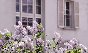 Jadi, setiap bulannya bunga yang harus dibayarkan kepada bank sebesar rp100.000. Punya Arti Dan Fungsi Baik Inilah Jenis Bunga Yang Cocok Ditanam Di Depan Rumah Glitzmedia Co