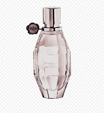 Terutama pada target market ummat islam. Bunga Botol Kaca Unbreakable Parfum Kosmetik Tanaman Penghemat Sumbat Botol Iris Png Klipartz