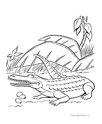 Whitepages is a residential phone book you can use to look up individuals. Crocodile Coloring Pages Coloring Home