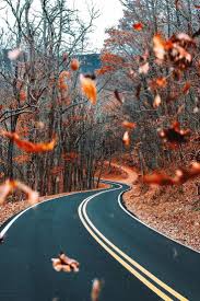Aesthetic Autumn Wallpapers Wallpaper Cave In this post you can find the unique high quality warm aesthetic wallpapers. aesthetic autumn wallpapers wallpaper