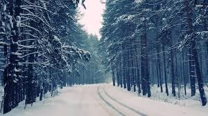 Snow Forest Trail Most Beautiful Snowy Forest Desktop Wallpaper Wallpapersafari Snowy Forest Snowy Pictures Winter Wallpaper Desktop Enjoy and share your favorite beautiful hd wallpapers and background images. snowy forest desktop wallpaper